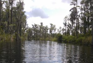 Butler Chain of Lakes