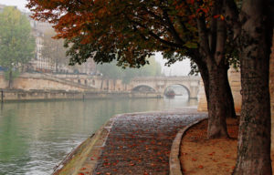 The Seine